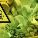 Lima Siswi SMK Pelayaran di Muna, Diduga Keracunan Usai Santap Malam ilustrasi keracunan