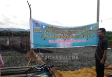 UMK Jadi Satu-satunya PTS di Sultra Kelola PPUPIK UMK Jadi Satu-satunya PTN di Sultra Kelola PPUPIK