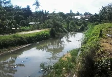 Didorong Temannya ke Kali, Bocah Kelas 4 SD di Kendari Tewas Didorong Temannya ke Kali, Bocah Kelas 4 SD di Kendari Tewas