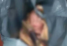 Bayi Perempuan Baru Lahir di Kendari Dibuang Orang Tak Dikenal Bayi Perempuan Baru Lahir di Kendari Dibuang Orang Tak Dikenal