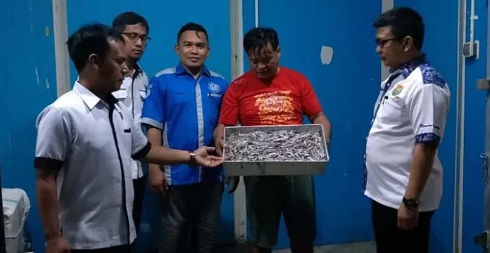 Cold Storage di Muara Tinobu Konut Resmi Beroperasi