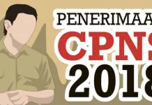 Guru SD dan Perawat, Dominasi Penerimaan CPNS di Muna ilustrasi cpns 2018