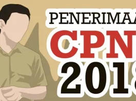 Pendaftaran CPNS, Tenaga Guru Paling Banyak Dibutuhkan di Butur ilustrasi cpns 2018