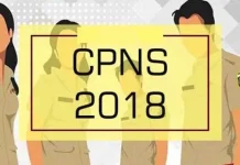 Pemkab Kolaka Kebagian 174 Formasi CPNS 2018 ilustrasi cpns 2018