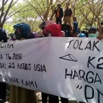 Honorer K2 di Muna Tolak Aturan Seleksi CPNS 2018 Honorer K2 di Muna Tolak Aturan Seleksi CPNS 2018