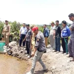 DKP Konut Target Pengembangan Budidaya Bandeng dan Udang di Desa Lapulu DKP Konut Target Pengembangan Budidaya Bandeng dan Udang di Desa Lapulu