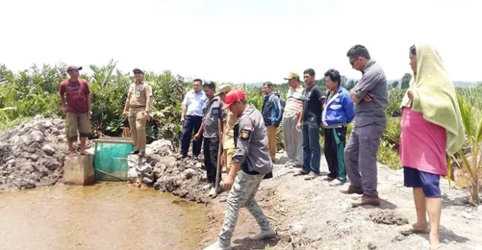 DKP Konut Target Pengembangan Budidaya Bandeng dan Udang di Desa Lapulu