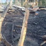 Ditinggal Pemiliknya ke Kebun, Satu Rumah di Mubar Terbakar Ditinggal Pemiliknya ke Kebun, Satu Rumah di Mubar Terbakar