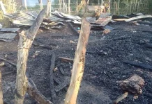 Ditinggal Pemiliknya ke Kebun, Satu Rumah di Mubar Terbakar Ditinggal Pemiliknya ke Kebun, Satu Rumah di Mubar Terbakar