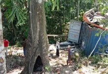 Rem Blong, Truk Kontainer Terperosok ke Jurang Rem Blong, Truk Kontainer Terperosok ke Jurang