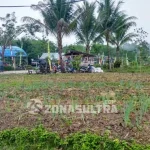 BI Sultra Jadikan Desa Aunupe Konsel Percontohan Pertanian Organik BI Sultra Jadikan Desa Aunupe Konsel Percontohan Pertanian Organik