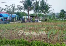 BI Sultra Jadikan Desa Aunupe Konsel Percontohan Pertanian Organik BI Sultra Jadikan Desa Aunupe Konsel Percontohan Pertanian Organik