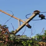 Listrik di Konut Padam, Ini Penyebabnya Listrik di Konut Padam, Ini Penyebabnya