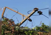 Listrik di Konut Padam, Ini Penyebabnya Listrik di Konut Padam, Ini Penyebabnya