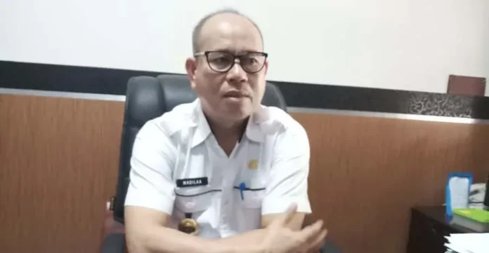 Kepala Badan Kepegawaian dan Pengembangan Sumber Daya Manusia (BKPSDM) Kabupaten Konawe Selatan (Konsel) Sulawesi Tenggara (Sultra), Madilla