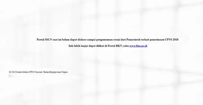 Situs Pendaftaran CPNS Sscn.bkn.go.id Belum Bisa Diakses