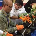 BI dan Pemkot Kendari Bentuk Kelompok Tani yang Siap Kendalikan Inflasi