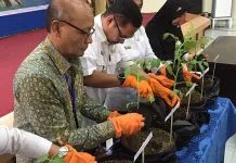 BI dan Pemkot Kendari Bentuk Kelompok Tani yang Siap Kendalikan Inflasi