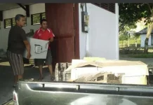 Dinas Perikanan Kolut Siapkan 3 Juta Bibit Udang Vaname Dinas Perikanan Kolut Siapkan 3 Juta Bibit Udang Vaname