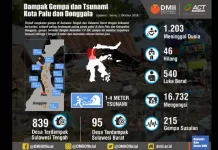 Ini Data Keseluruhan Korban Gempa dan Tsunami Palu Donggala Ini Data Keseluruhan Korban Gempa dan Tsunami Palu Donggala