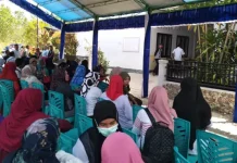 Pengambilan Kartu Ujian Seleksi CPNS di Wakatobi Dibagi Tiga Loket Pengambilan Kartu Ujian Seleksi CPNS di Wakatobi Dibagi Tiga Loket