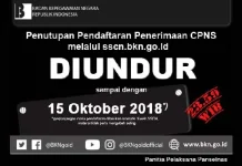 BKN Perpanjang Masa Pendaftaran CPNS Hingga 15 Oktober BKN Perpanjang Masa Pendafataran CPNS Hingga 15 Oktober
