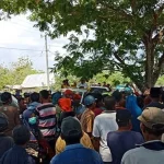 Tolak Perkebunan Jati Nuklir, Mahasiswa Demo Kantor Bupati Mubar Tolak Perkebunan Jati Nuklir, Mahasiswa Demo Kantor Bupati Mubar