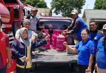 1.701 Tabung Elpiji Sudah di Pasok ke Sulteng 1.701 Tabung Elpiji Sudah di Pasok ke Sulteng