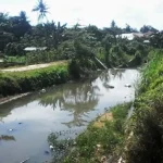 Warga Keluhkan Kondisi Kali Kadia yang Kotor dan Berbau ilustrasi kali