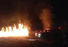 Lahan PT Jhonlin di Kabupaten Bombana Terbakar