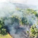 Masyarakat Kolaka Diimbau Tak Bakar Hutan dan Lahan Sepanjang Tahun Ini, 1.600 Hektar Hutan dan Lahan Sultra Terbakar