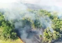Masyarakat Kolaka Diimbau Tak Bakar Hutan dan Lahan Sepanjang Tahun Ini, 1.600 Hektar Hutan dan Lahan Sultra Terbakar