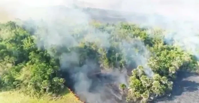 Sepanjang Tahun Ini, 1.600 Hektar Hutan dan Lahan Sultra Terbakar