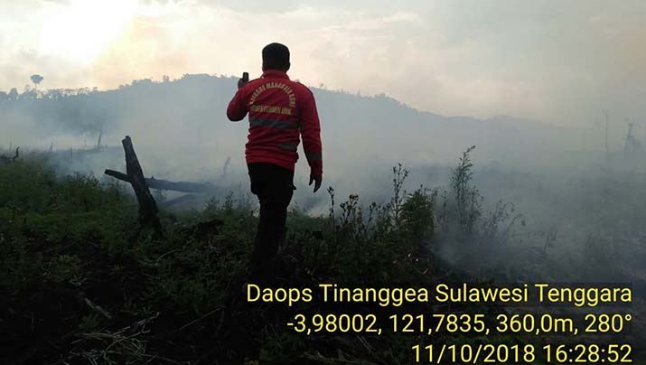 Tiga Lahan Perkebunan di Sultra Terbakar