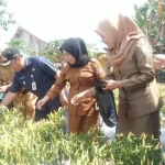 P2WKSS Puji Program Pengembangan Masyarakat Kreatif Pemda Konut P2WKSS Puji Program Pengembangan Masyarakat Kreatif Pemda Konut