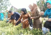 P2WKSS Puji Program Pengembangan Masyarakat Kreatif Pemda Konut P2WKSS Puji Program Pengembangan Masyarakat Kreatif Pemda Konut