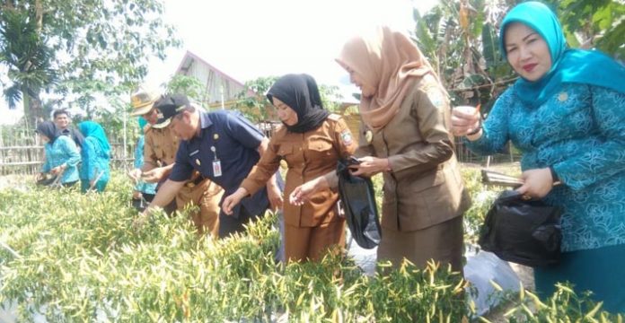 P2WKSS Puji Program Pengembangan Masyarakat Kreatif Pemda Konut