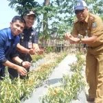 Ruksamin Optimis Pendirian Pabrik Gula di Konut Serap 2.000 Tenaga Kerja Ruksamin Optimis Pendirian Pabrik Gula di Konut Serap 2.000 Tenaga Kerja