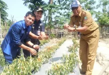 Ruksamin Optimis Pendirian Pabrik Gula di Konut Serap 2.000 Tenaga Kerja Ruksamin Optimis Pendirian Pabrik Gula di Konut Serap 2.000 Tenaga Kerja