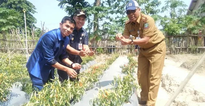 Ruksamin Optimis Pendirian Pabrik Gula di Konut Serap 2.000 Tenaga Kerja