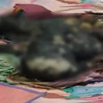 Ini Penyebab Terbakarnya Wanita Asal Bombana Ini Penyebab Terbakarnya Wanita Asal Bombana