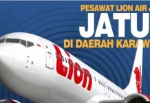 12 Pegawai Ditjen Pajak Jadi Korban Jatuhnya Lion Air JT 610 ilustrasi lion air jatuh