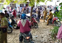 Kartu Ujian CPNS Dibagikan, BKPSDM Butur Siapkan Tiga Loket Kartu Ujian CPNS Dibagikan, BKPSDM Butur Siapkan Tiga Loket