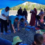 Warga Sekitar Pertambangan PT Cerindo Kembali Panen Udang Vaname Warga Sekitar Pertambangan PT Cerindo Kembali Panen Udang Vaname