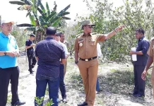 Investor Cina dan Taiwan Lirik Potensi Pertanian Mubar Investor Cina dan Taiwan Lirik Potensi Pertanian Mubar