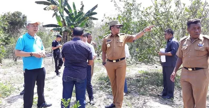 Investor Cina dan Taiwan Lirik Potensi Pertanian Mubar