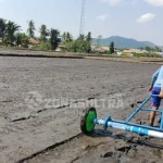 Distan Bombana Mulai Gencar Penanaman Padi Sawah Melalui Jarwo Distan Bombana Mulai Gencar Penanaman Padi Sawah Melalui Jarwo