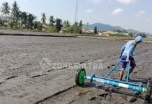 Distan Bombana Mulai Gencar Penanaman Padi Sawah Melalui Jarwo Distan Bombana Mulai Gencar Penanaman Padi Sawah Melalui Jarwo