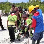 Tanam Mangrove di Wakatobi, PLN Baubau Libatkan Pegiat Lingkungan Tanam Mangrove di Wakatobi, PLN Baubau Libatkan Pegiat Lingkungan