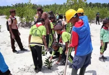 Tanam Mangrove di Wakatobi, PLN Baubau Libatkan Pegiat Lingkungan Tanam Mangrove di Wakatobi, PLN Baubau Libatkan Pegiat Lingkungan